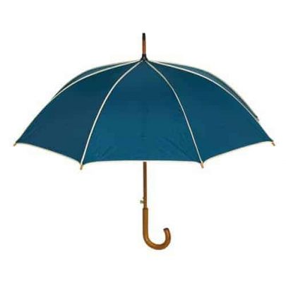 navy blåa paraplyet