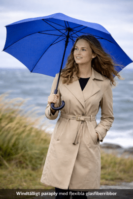 Vindfyldt dag ved kysten